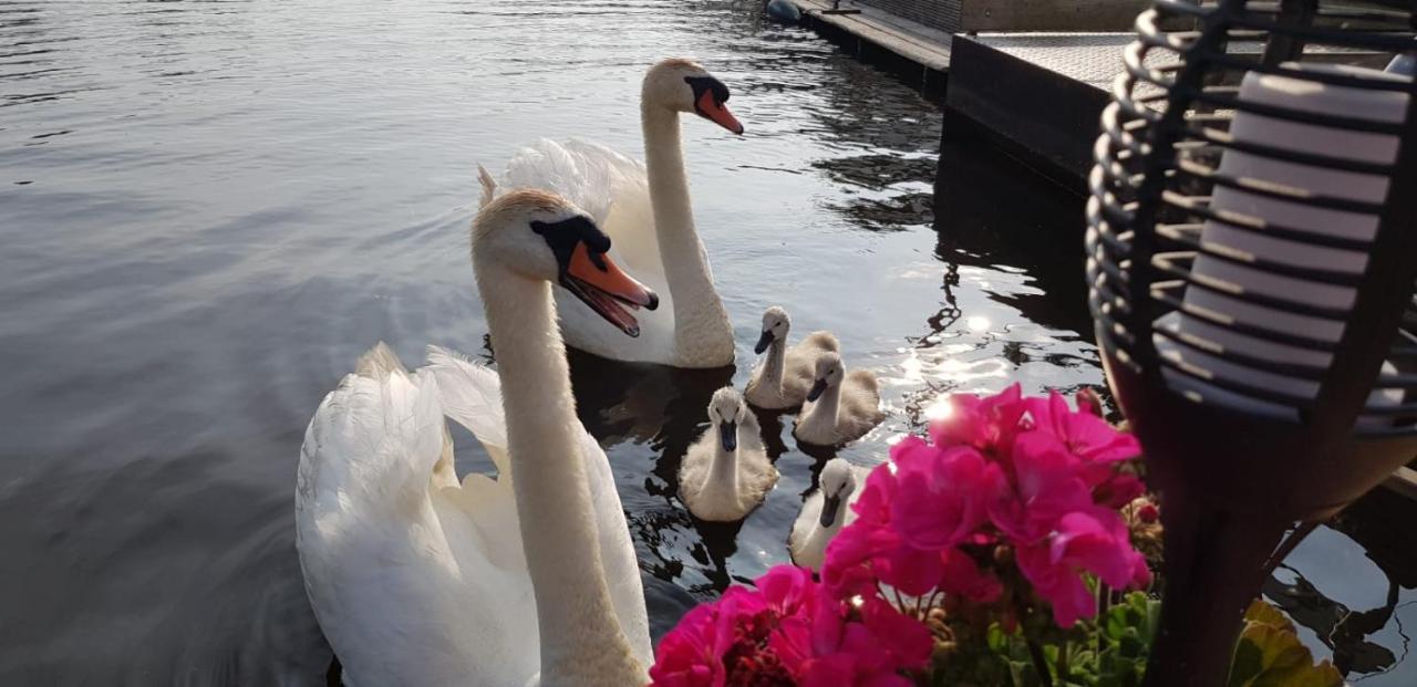 ברוק אין ווטרלנד Out Of Amsterdam, River Apartment Close To City מראה חיצוני תמונה